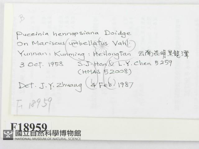 登錄號:F0018959藏品圖，第2張