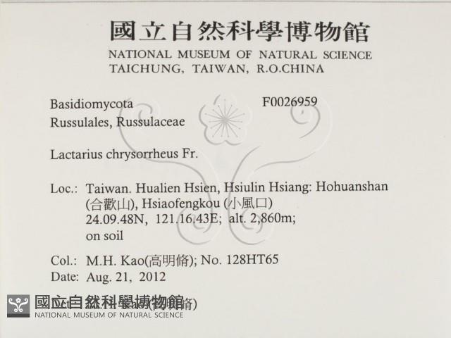 登錄號:F0026959藏品圖，第2張