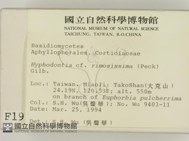 登錄號:F0001959藏品圖，第2張