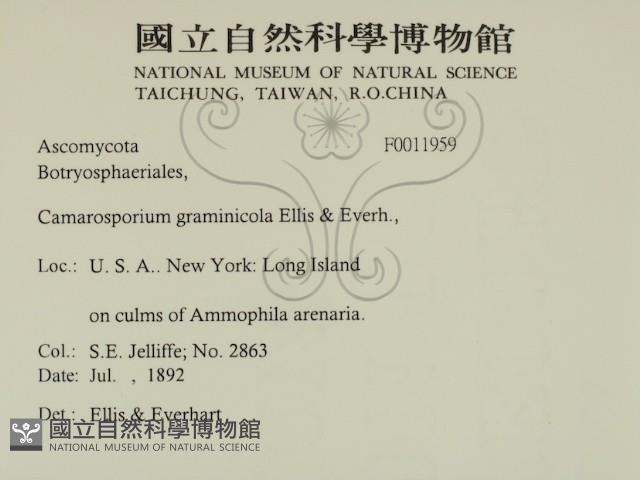 登錄號:F0011959藏品圖，第2張
