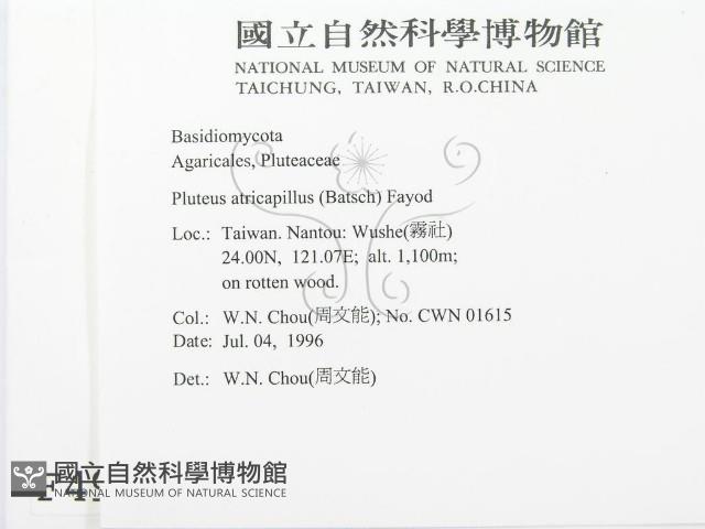 登錄號:F0004959藏品圖，第2張