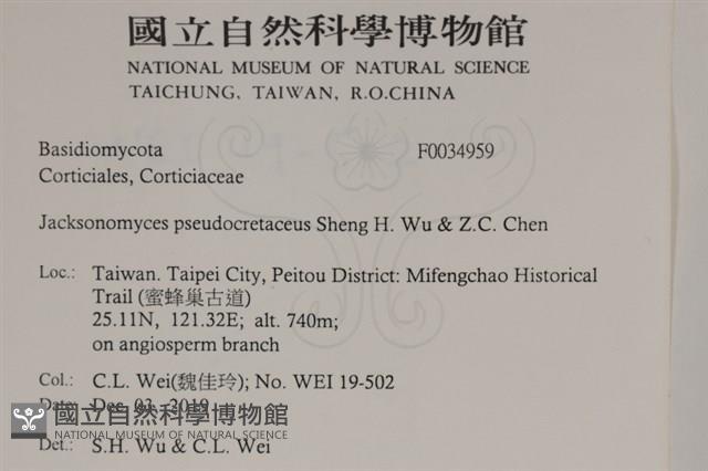 登錄號:F0034959藏品圖，第2張