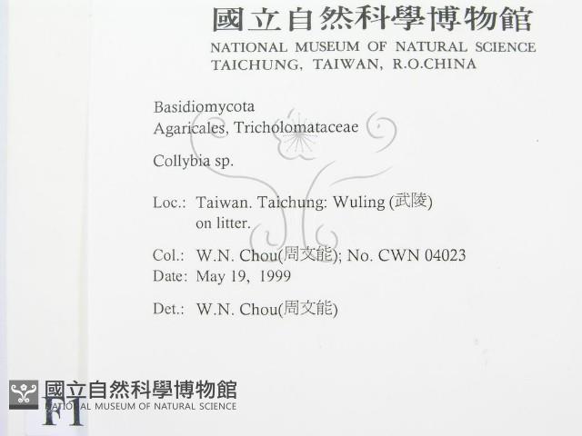 登錄號:F0012959藏品圖，第2張