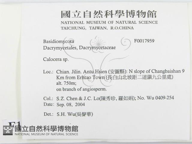 登錄號:F0017959藏品圖，第2張