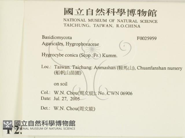 登錄號:F0025959藏品圖，第2張