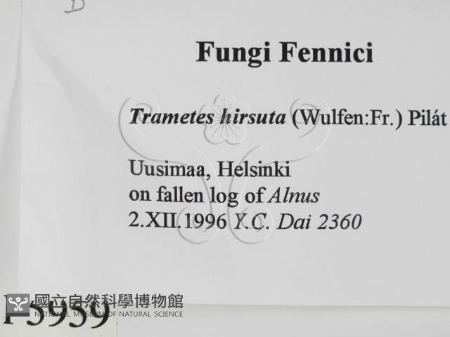 登錄號:F0005959藏品圖，第2張