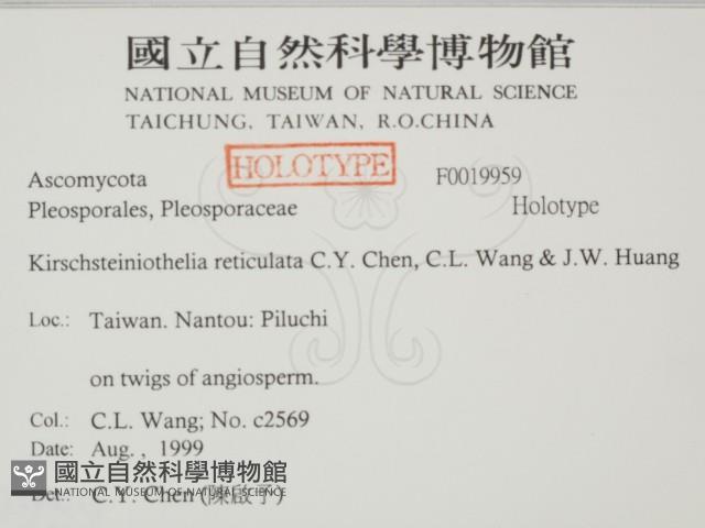 登錄號:F0019959藏品圖，第2張