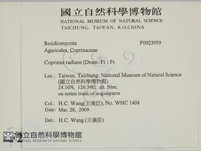 登錄號:F0023959藏品圖，第2張