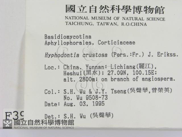 登錄號:F0003959藏品圖，第2張