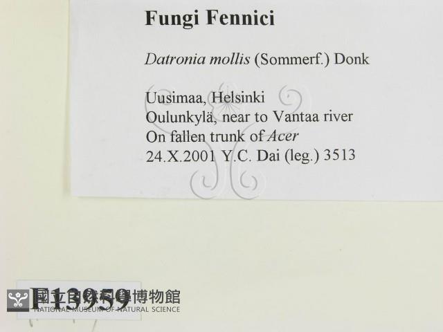 登錄號:F0013959藏品圖，第2張