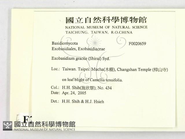 登錄號:F0020659藏品圖，第2張