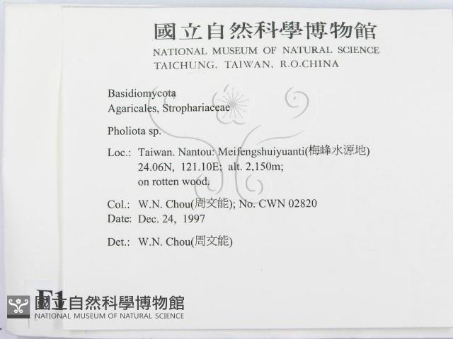 登錄號:F0010659藏品圖，第2張