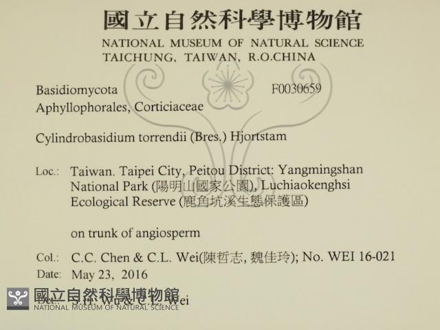 登錄號:F0030659藏品圖，第2張