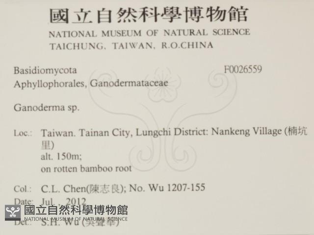 登錄號:F0026659藏品圖，第2張