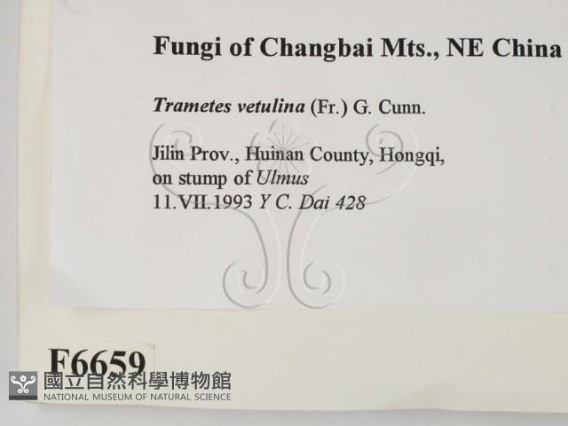 登錄號:F0006659藏品圖，第2張