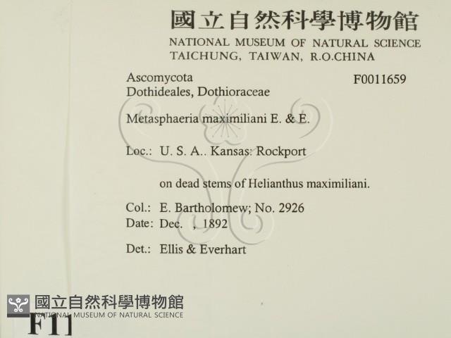 登錄號:F0011659藏品圖，第2張