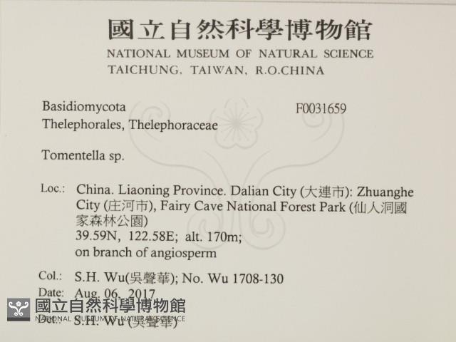 登錄號:F0031659藏品圖，第1張