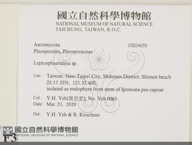 登錄號:F0034659藏品圖，第2張