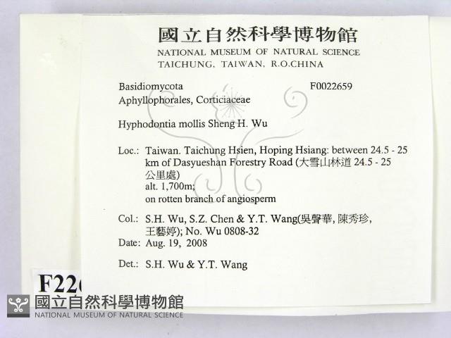 登錄號:F0022659藏品圖，第2張
