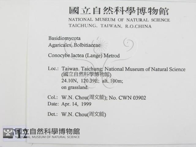 登錄號:F0012659藏品圖，第2張
