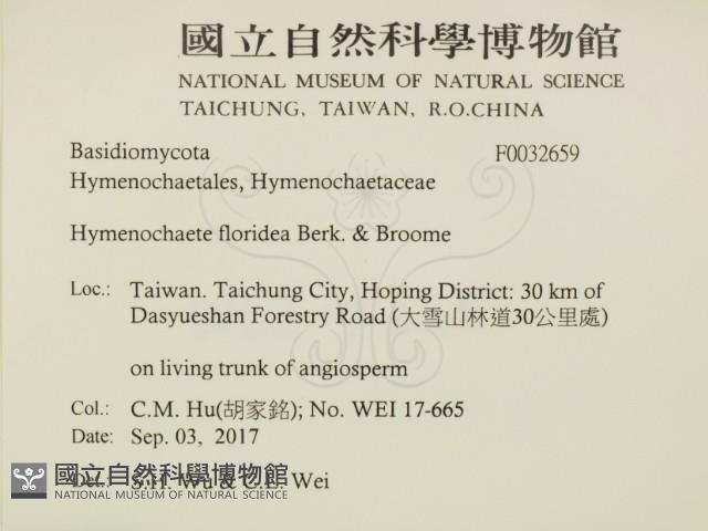 登錄號:F0032659藏品圖，第2張