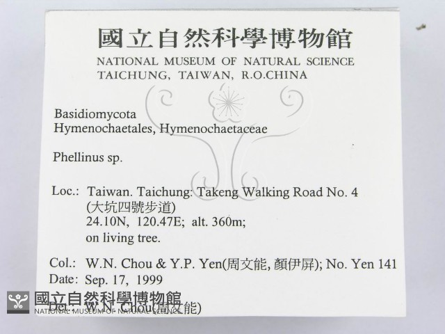 木層孔菌屬藏品圖，第2張