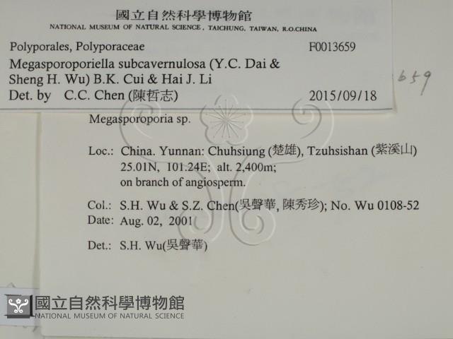登錄號:F0013659藏品圖，第2張