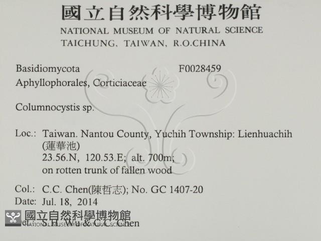 登錄號:F0028459藏品圖，第2張