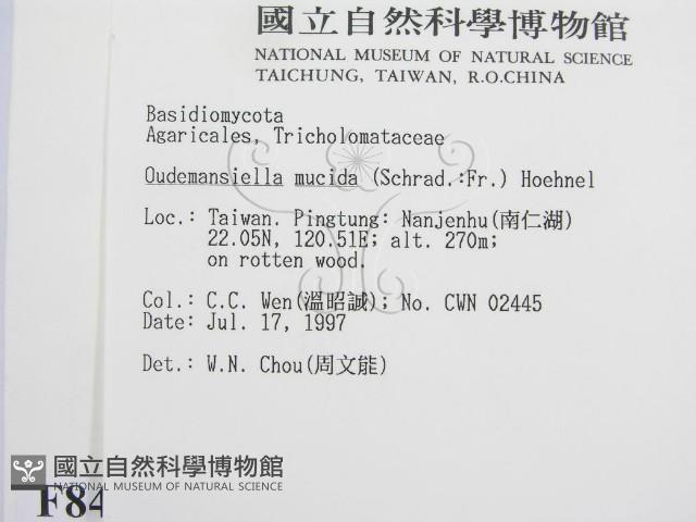 登錄號:F0008459藏品圖，第2張