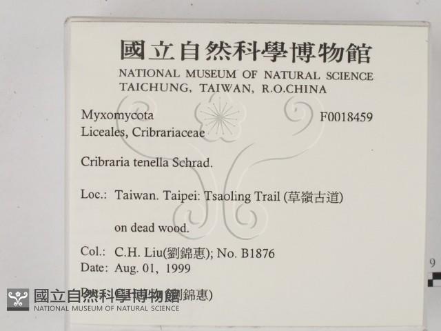 登錄號:F0018459藏品圖，第2張