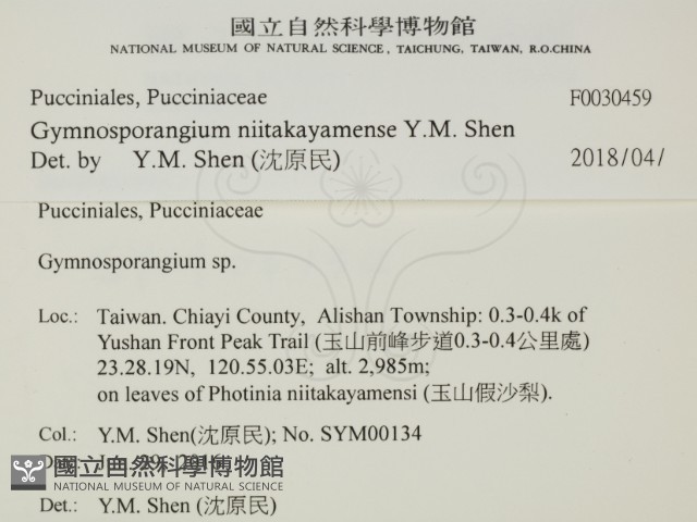 登錄號:F0030459藏品圖，第2張