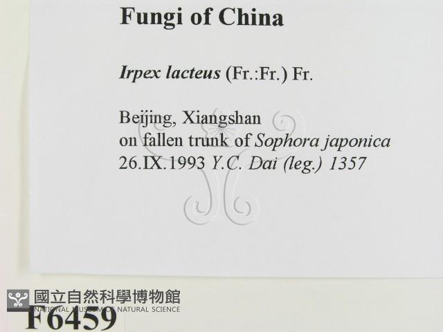 登錄號:F0006459藏品圖，第2張