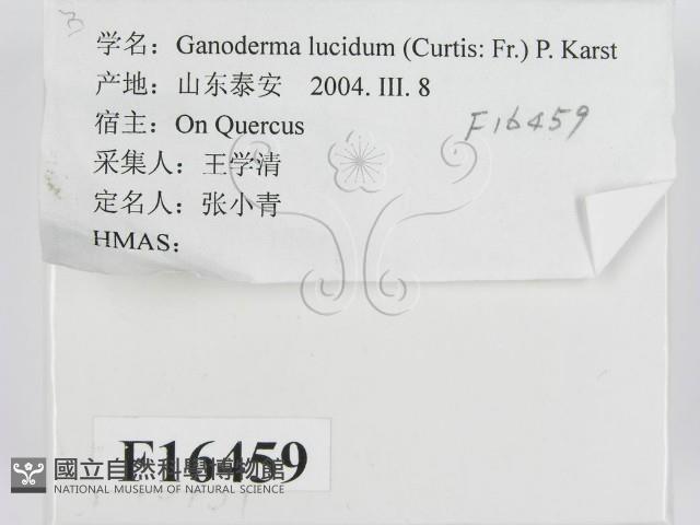 登錄號:F0016459藏品圖，第2張