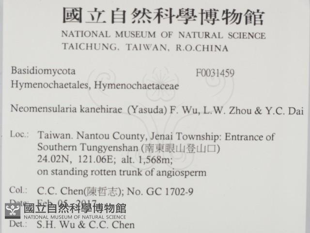 登錄號:F0031459藏品圖，第2張