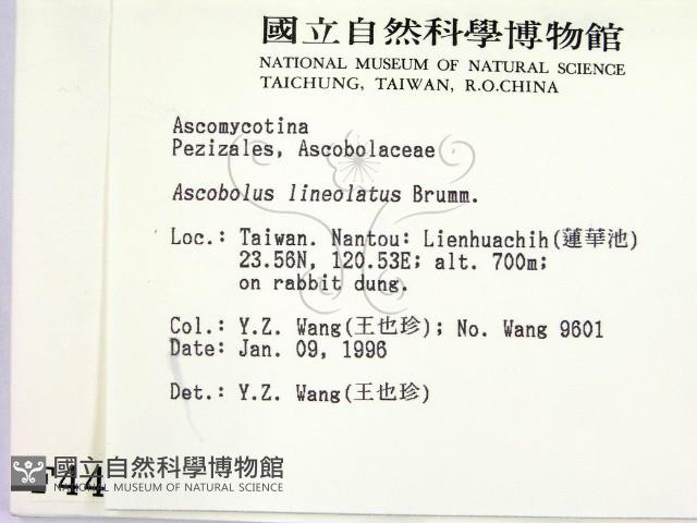 登錄號:F0004459藏品圖，第2張