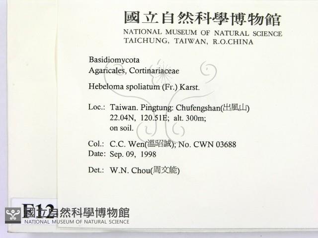 登錄號:F0012459藏品圖，第2張