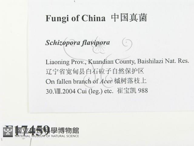 登錄號:F0017459藏品圖，第2張
