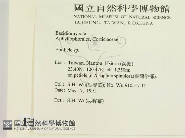 登錄號:F0015459藏品圖，第2張