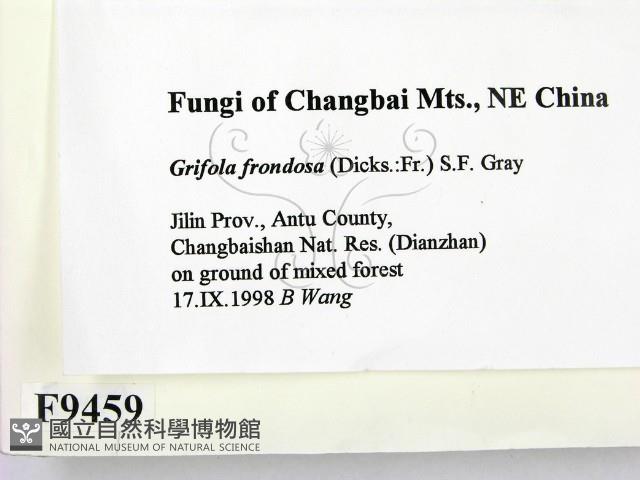 登錄號:F0009459藏品圖，第2張