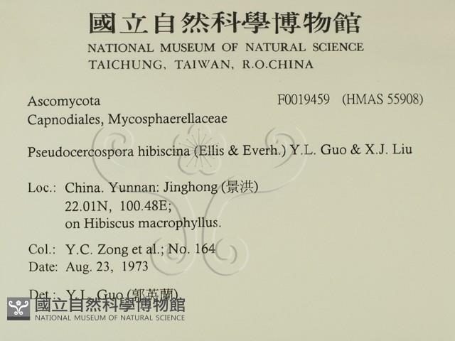 登錄號:F0019459藏品圖，第2張