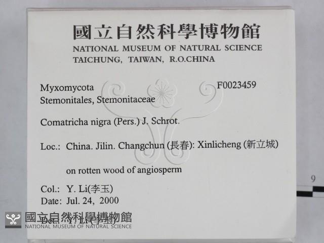 登錄號:F0023459藏品圖，第2張