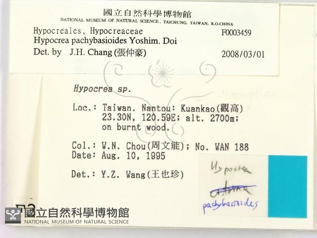 登錄號:F0003459藏品圖，第2張