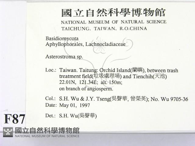 登錄號:F0008759藏品圖，第2張