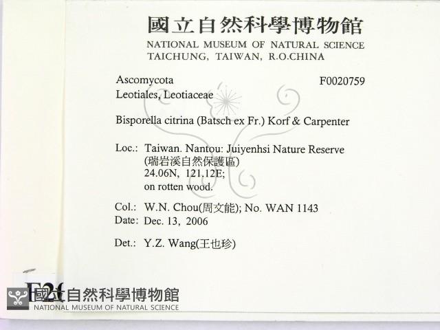 登錄號:F0020759藏品圖，第2張