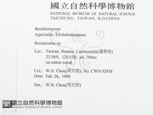 登錄號:F0010759藏品圖，第2張