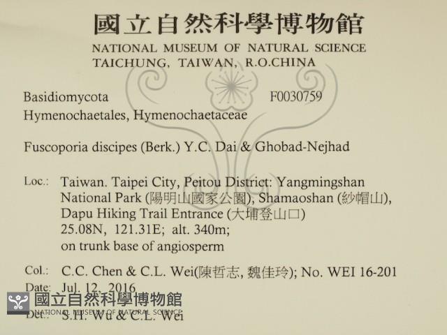 登錄號:F0030759藏品圖，第2張