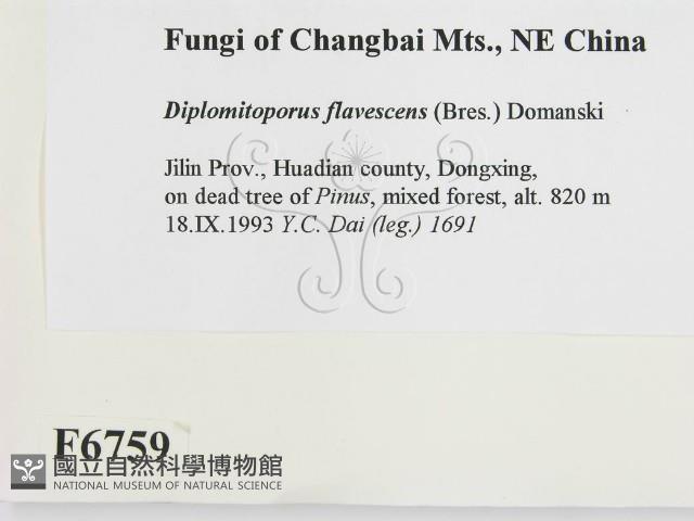 登錄號:F0006759藏品圖，第2張