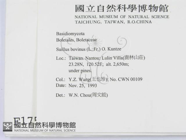 登錄號:F0001759藏品圖，第2張