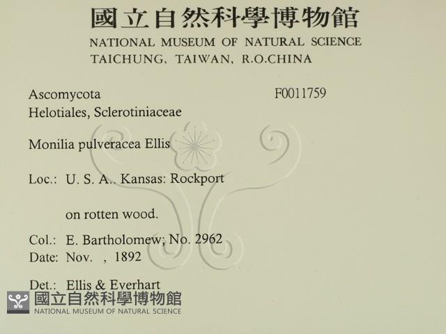 登錄號:F0011759藏品圖，第2張