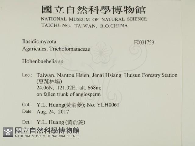登錄號:F0031759藏品圖，第2張